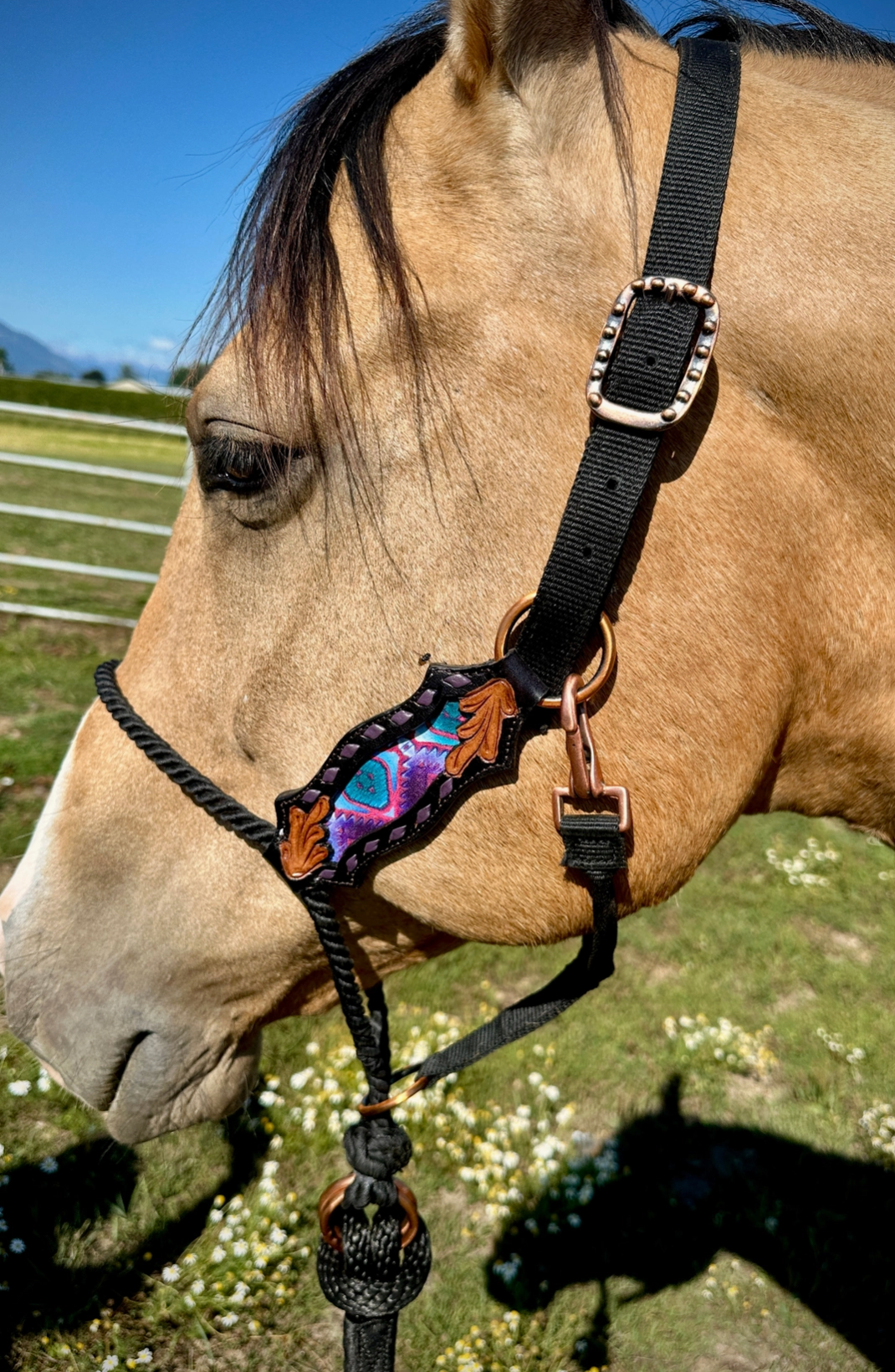 Lariat Nose Halter