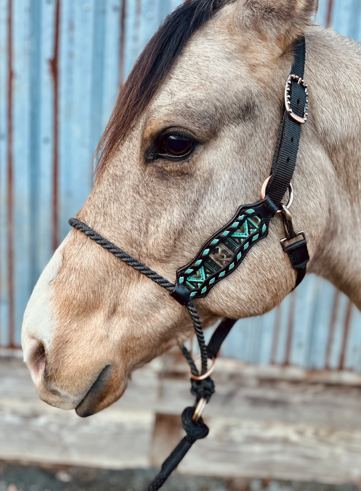 Lariat Nose Halter