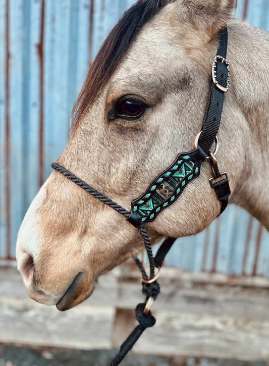 Lariat Nose Halter