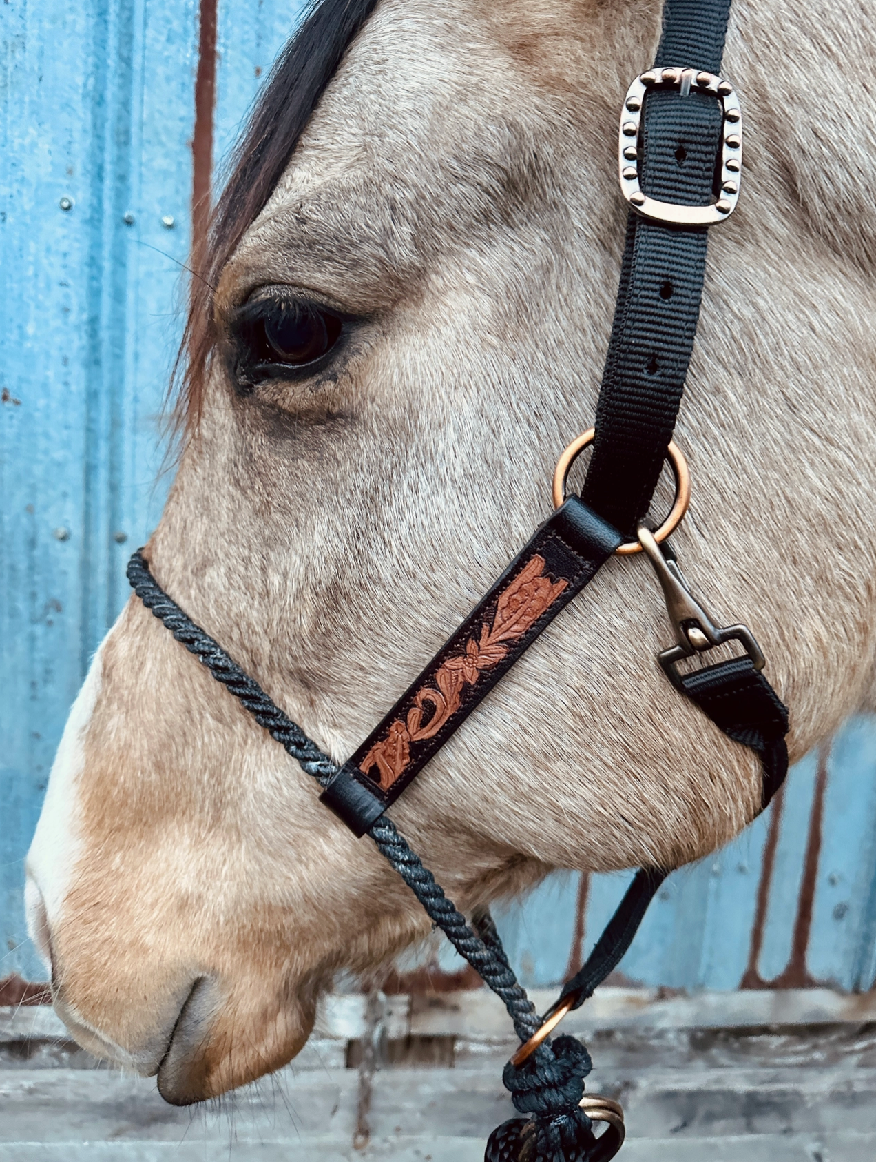 Lariat Nose Halter