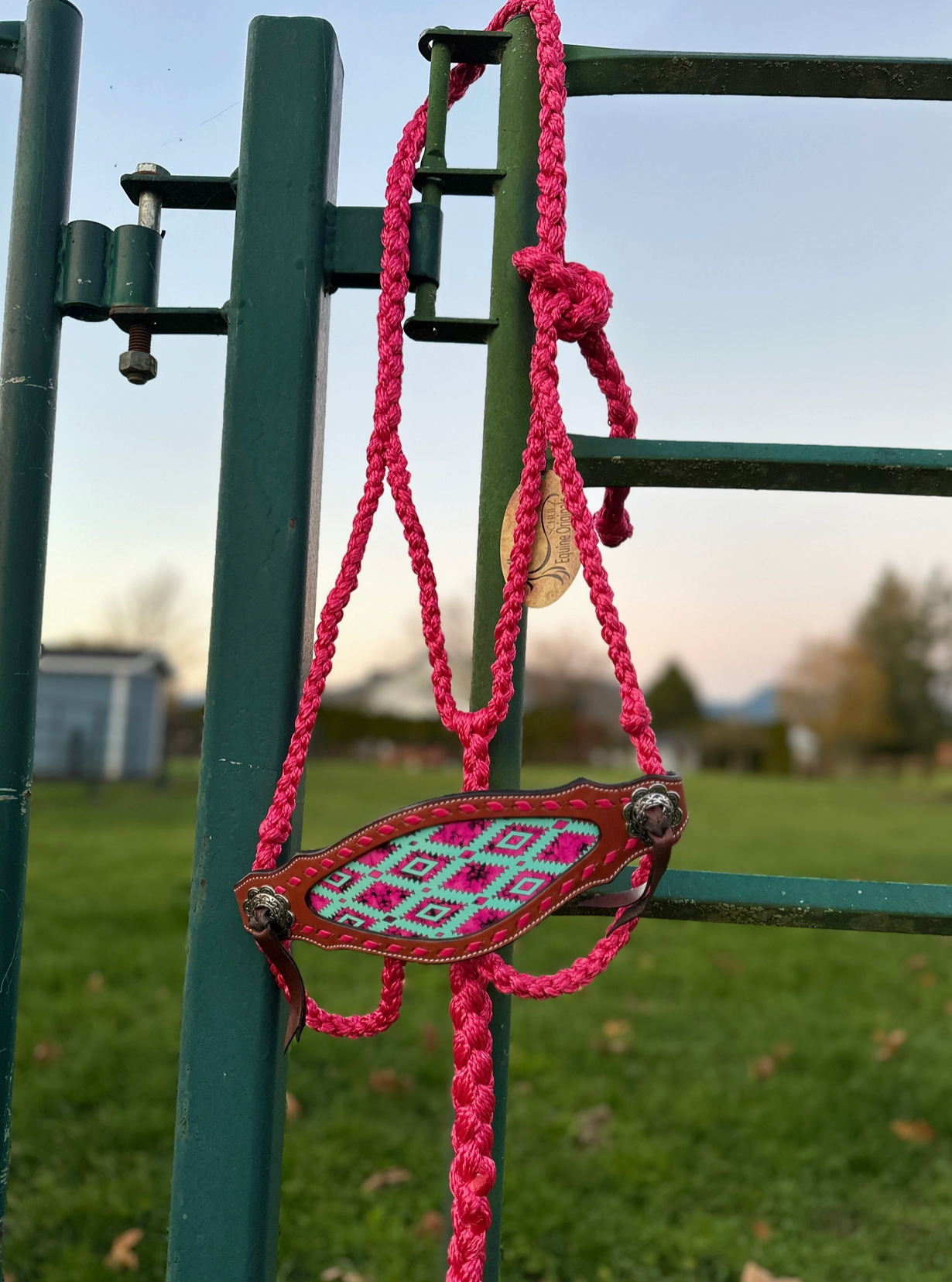 Pink rope with decorative metal plate on playground equipment