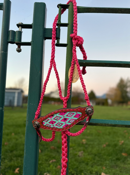 Pink rope with decorative metal plate on playground equipment