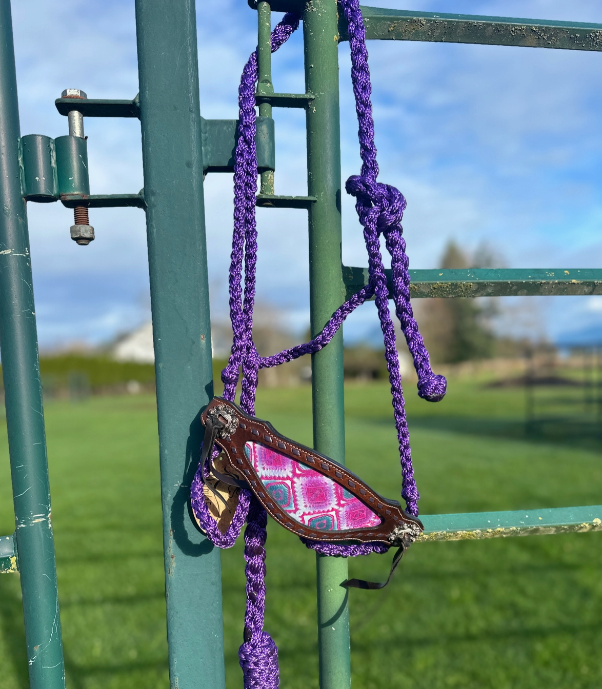 Purple rope halter on a green metal fence with a blurred outdoor background