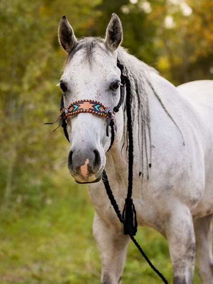 Braided Bronc Halter