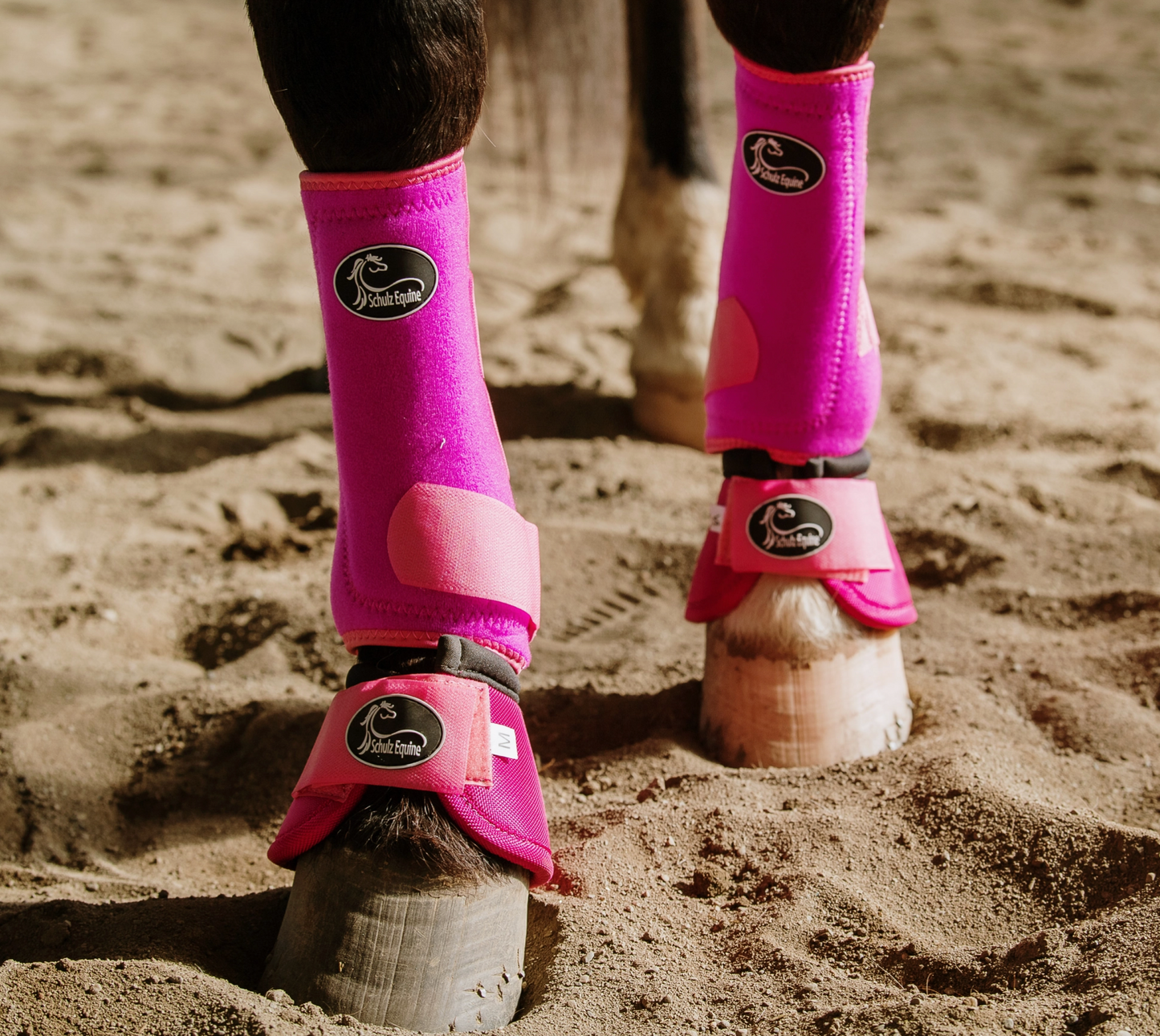Horse feet wearing bright pink protective boots on a sandy ground