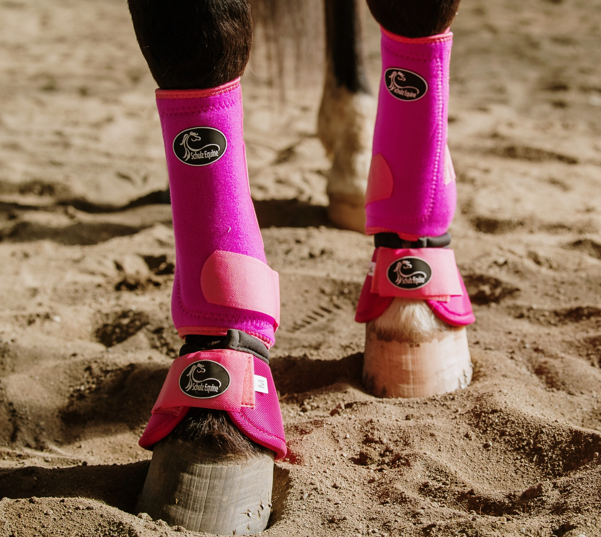 Horse feet wearing bright pink protective boots on a sandy ground