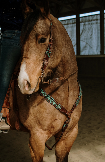 Dalton Headstall and Breast Collar Set