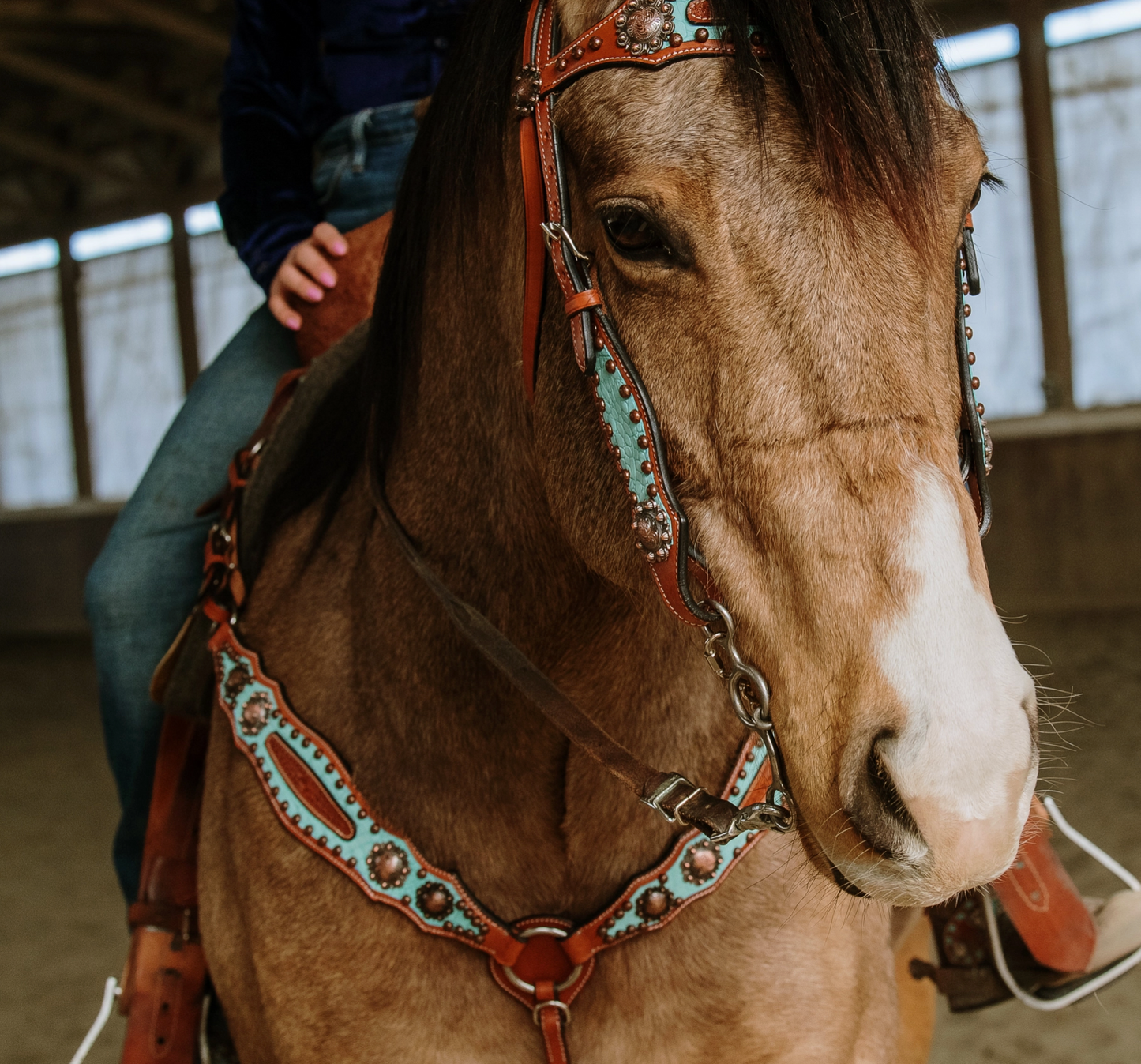Annie Oakley Headstall and Breast Collar Set