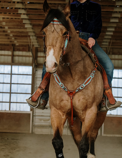 Annie Oakley Headstall and Breast Collar Set