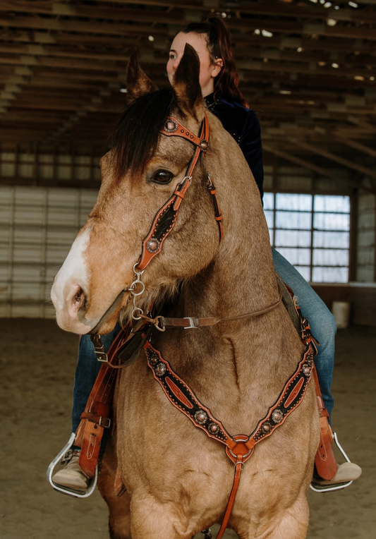 Jesse James Headstall and Breast Collar Set