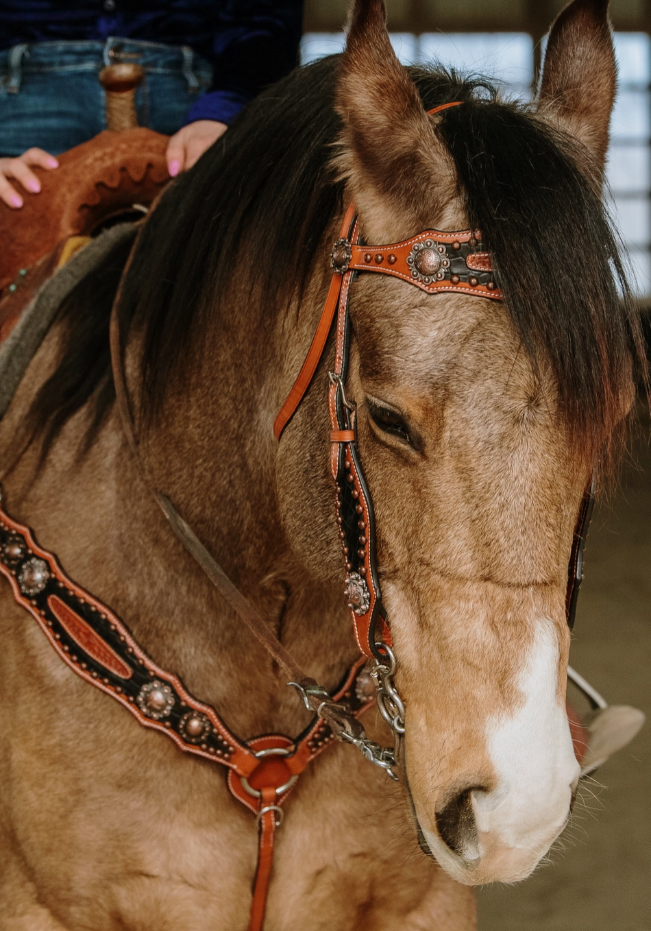 Jesse James Headstall and Breast Collar Set