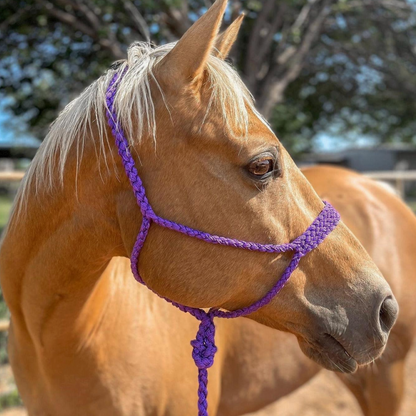 Mule Tape Halters - PRE ORDER