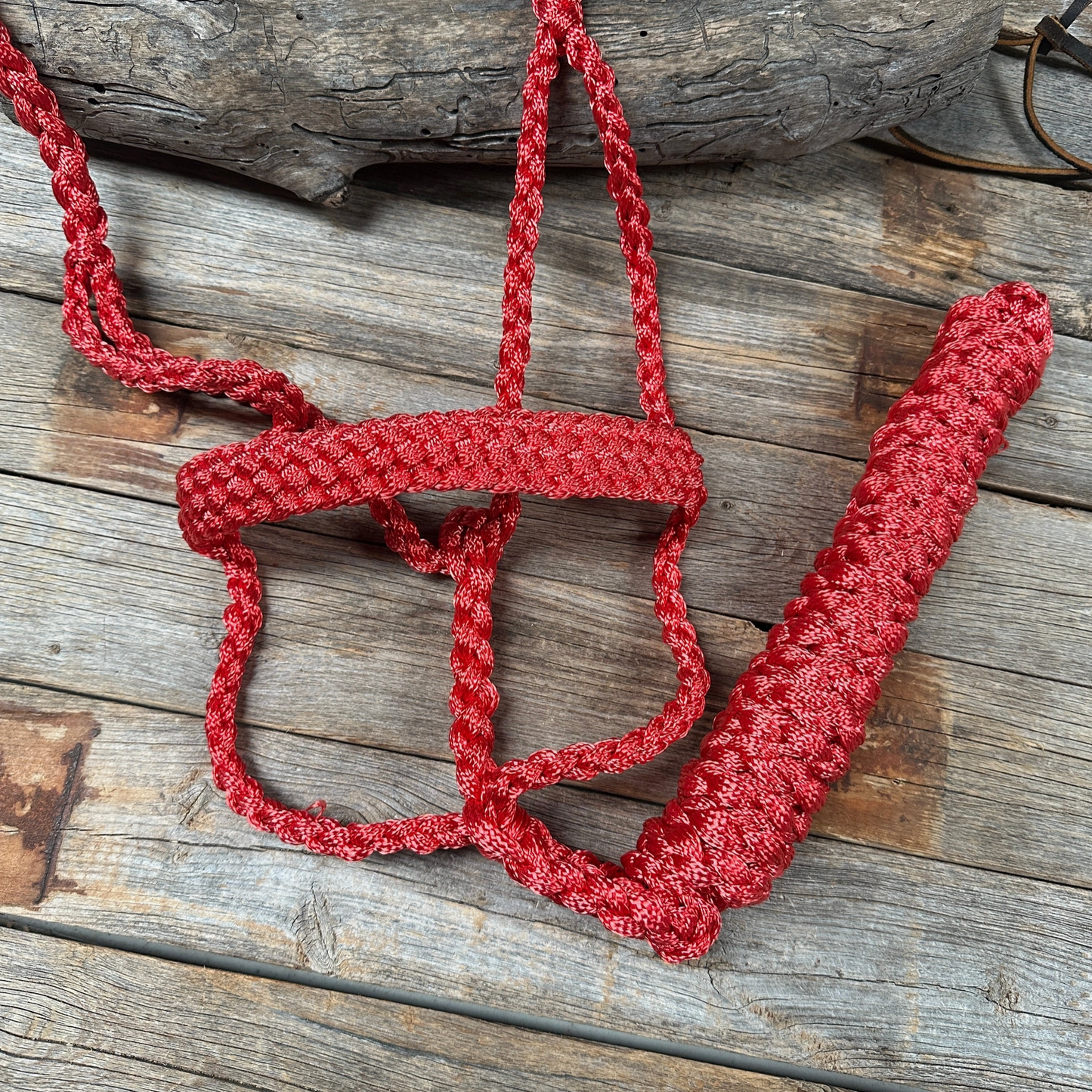 Mule Tape Halters - PRE ORDER