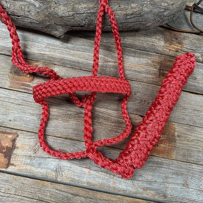 Mule Tape Halters - PRE ORDER