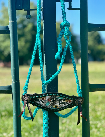 Decorative headstall with turquoise braided reins hanging on a metal fence with a grassy field in the background.
